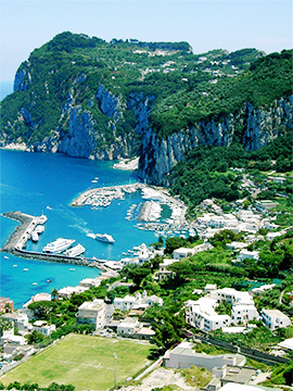 CAPRI